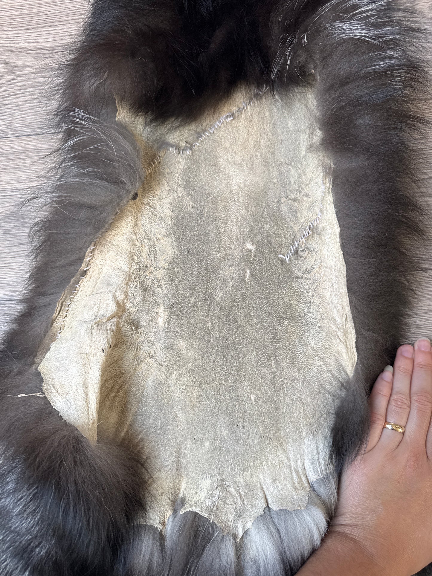 Silver fox pelt (10)