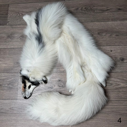 Arctic Marble fox pelt (4)