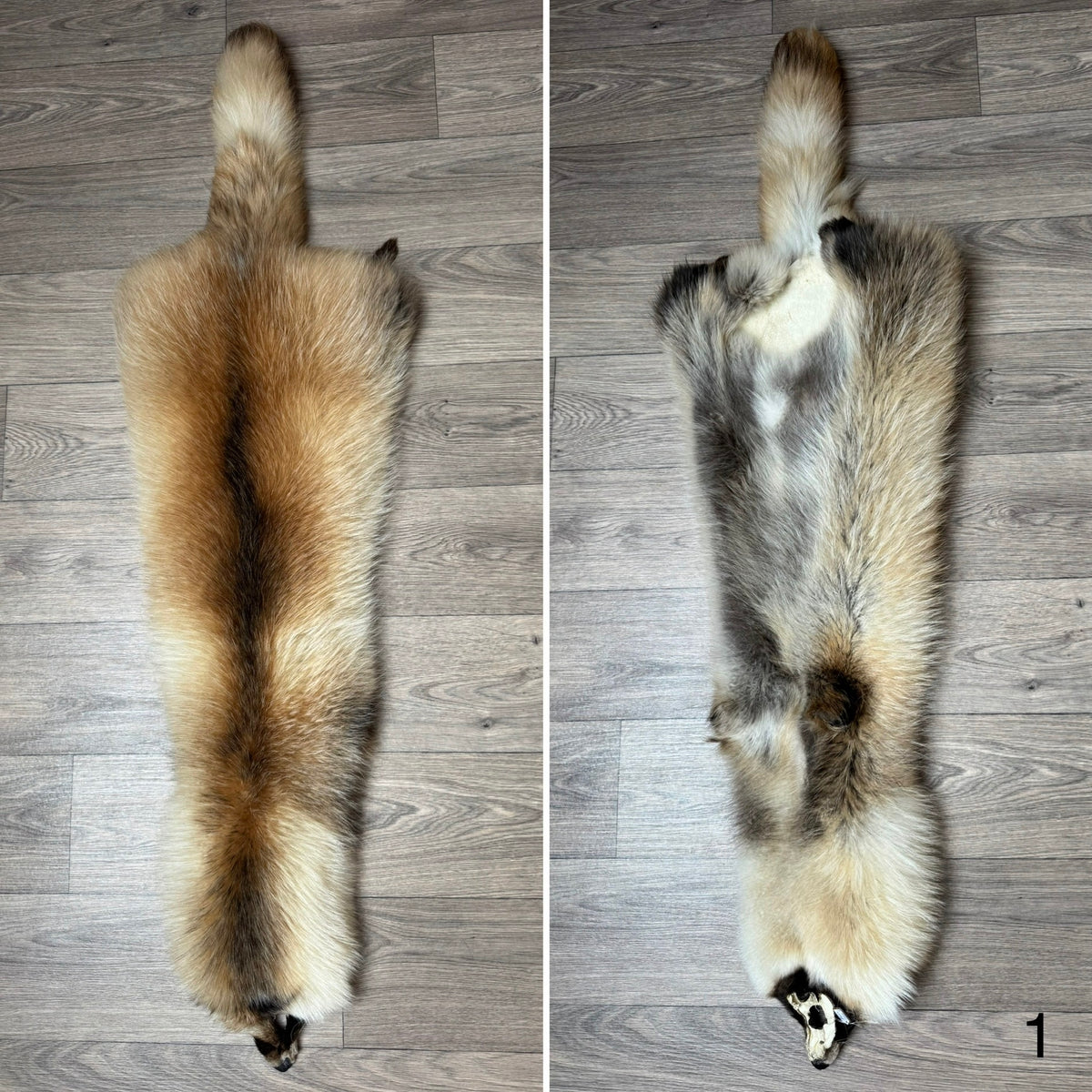 Arctic tanuki pelt (1)