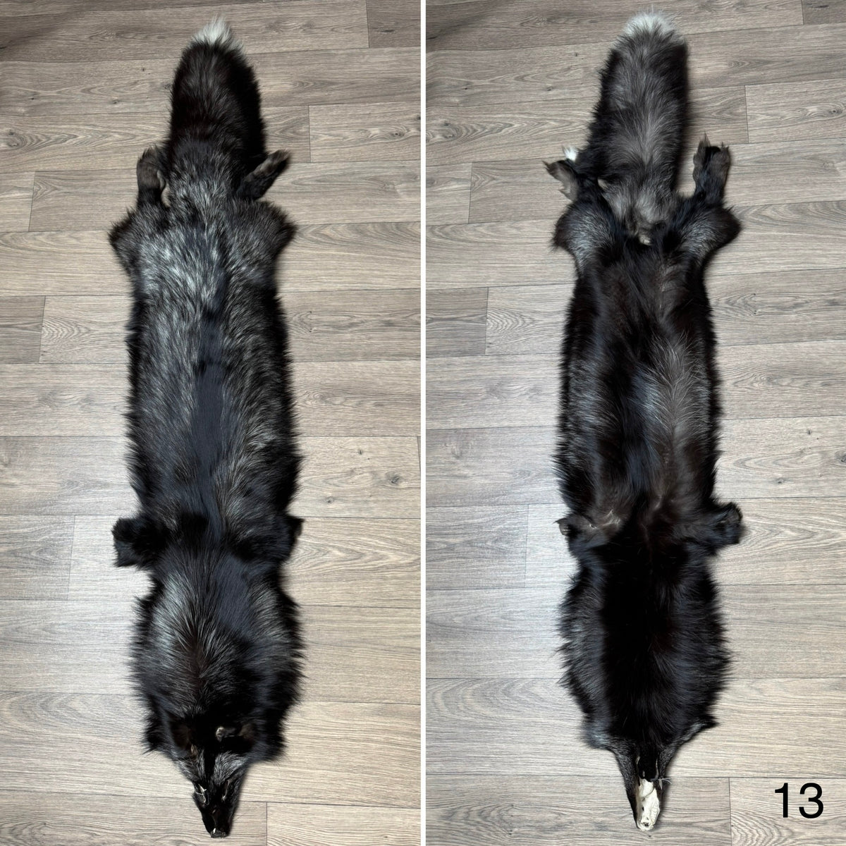 Silver fox pelt (13)