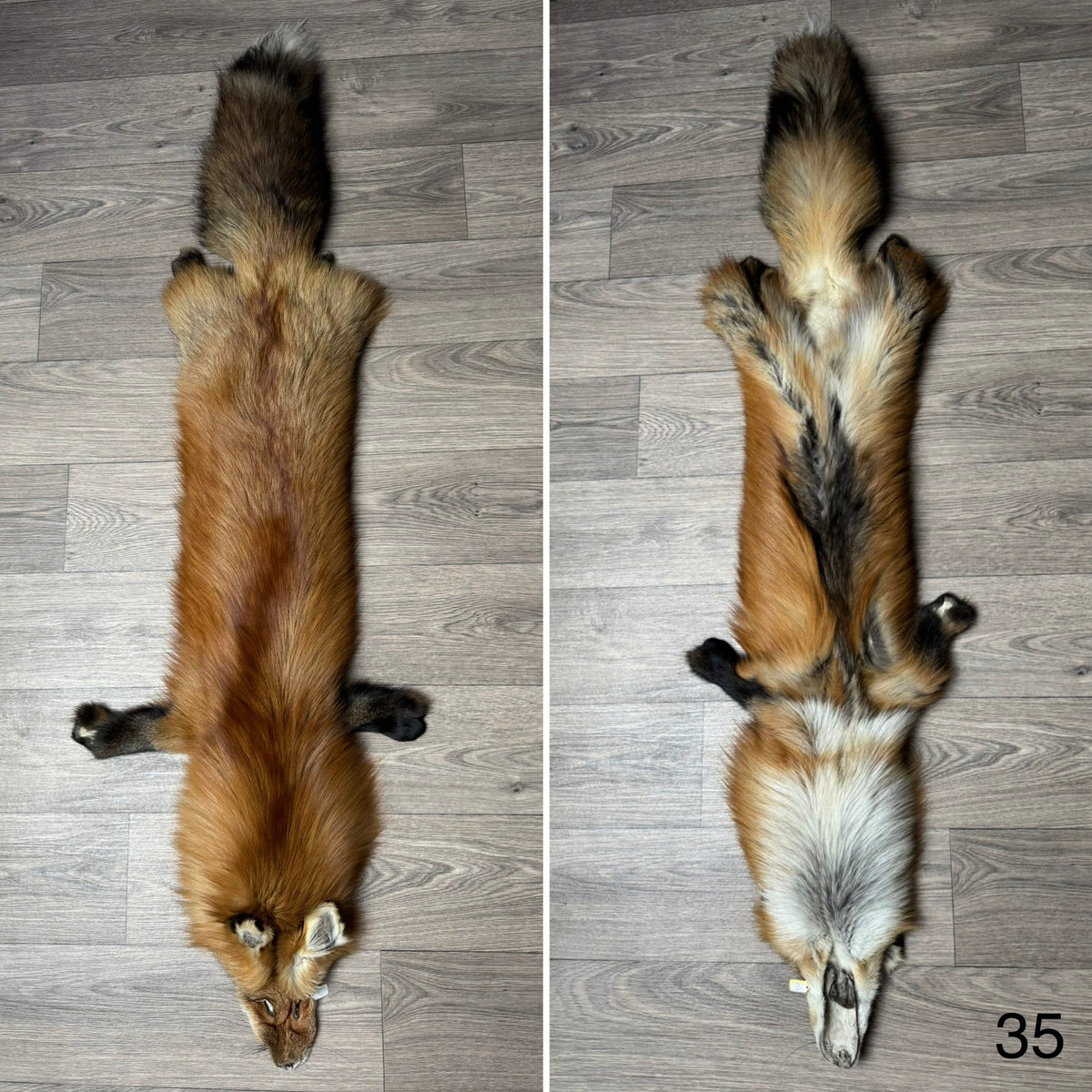 Gold fox pelt (35)