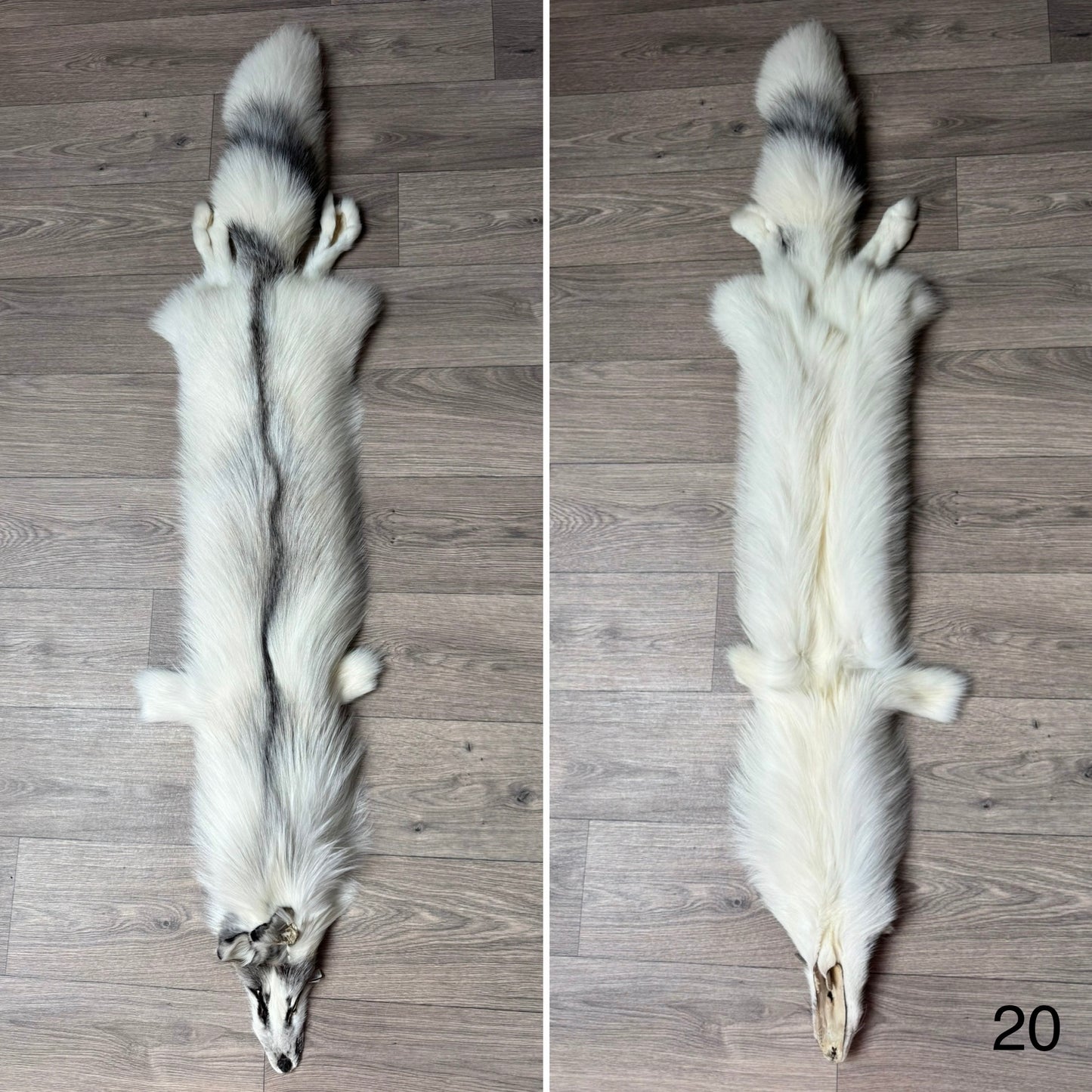 Cross Marble fox pelt (20)