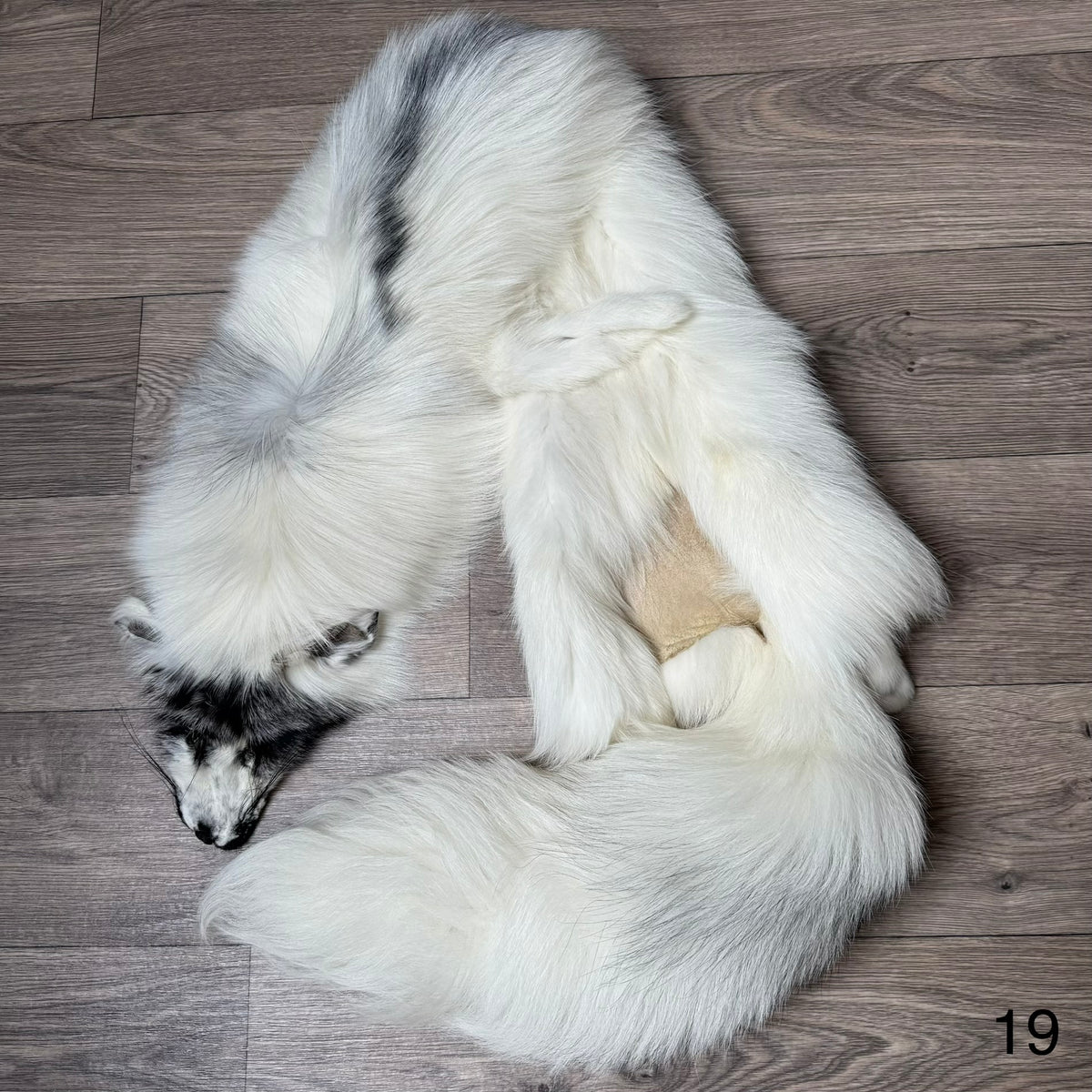 Arctic Marble fox pelt (19)