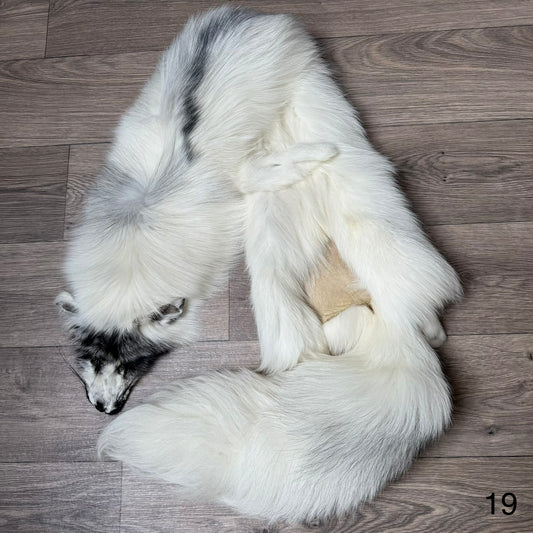 Arctic Marble fox pelt (19)