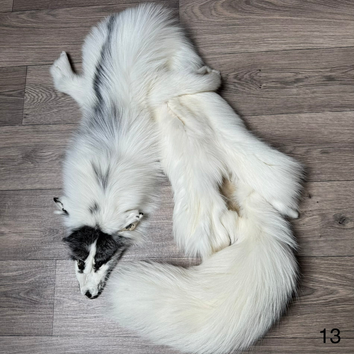 Arctic Marble fox pelt (13)