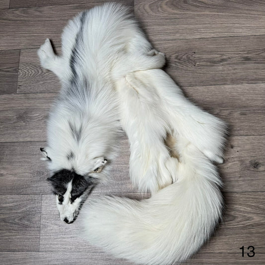 Arctic Marble fox pelt (13)