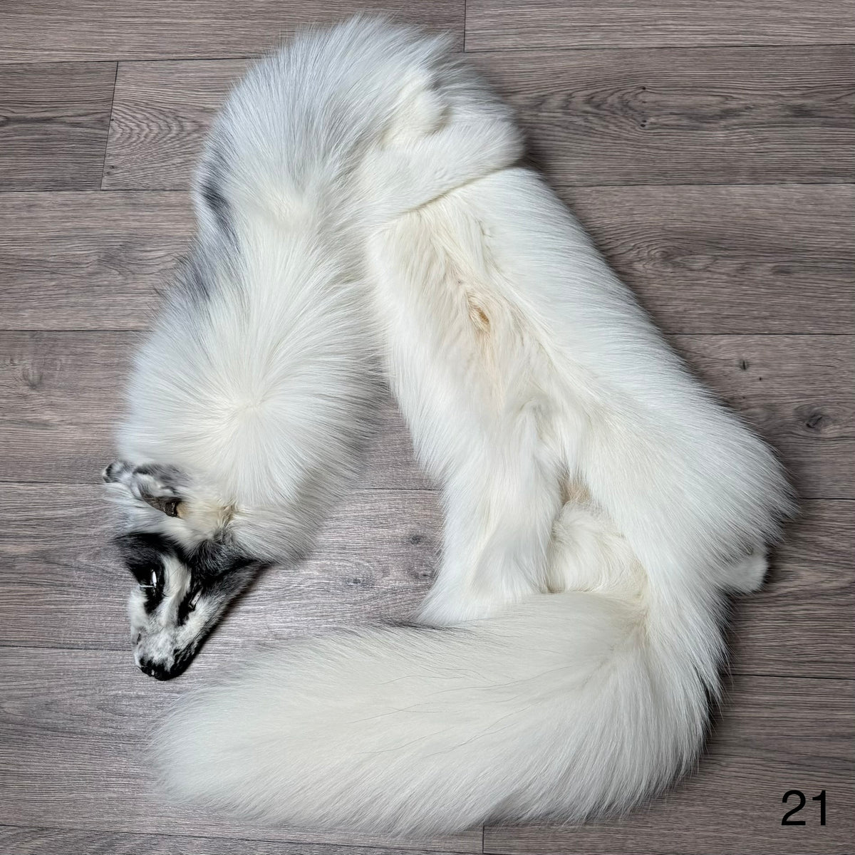 Arctic Marble fox pelt (21)