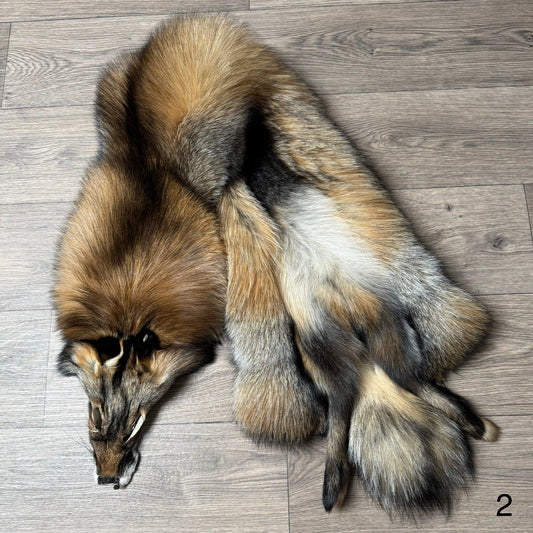Smokey fox pelt (2)