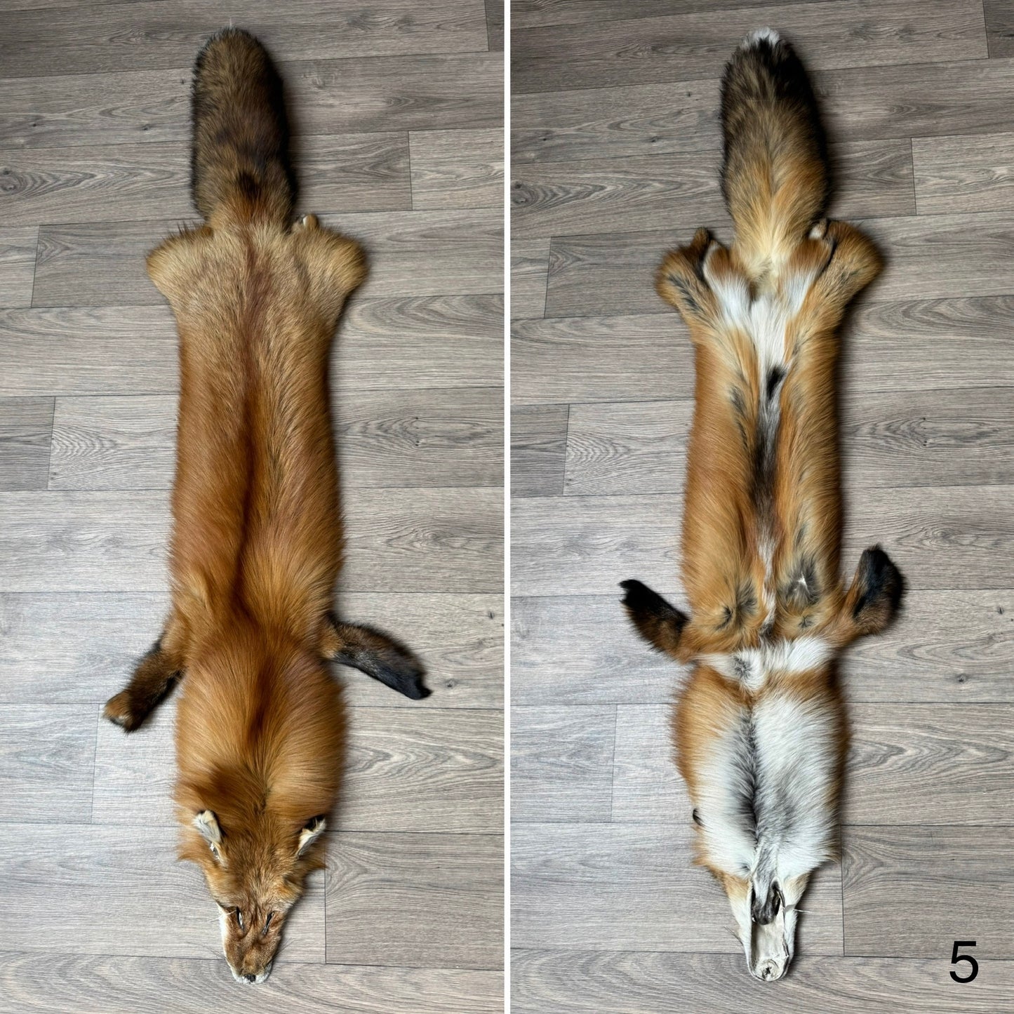 Gold fox pelt (5)