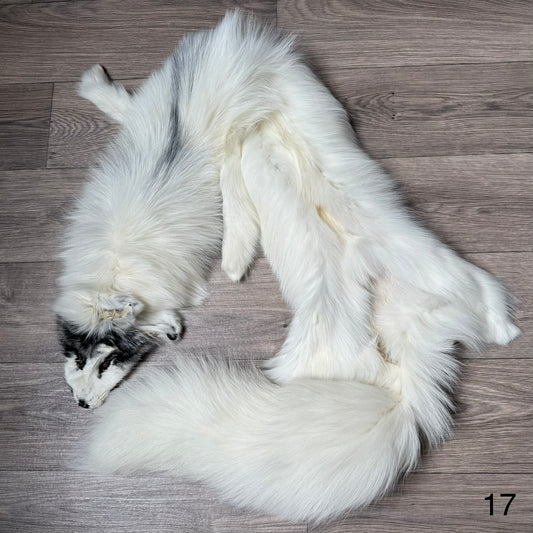 Arctic Marble fox pelt (17)