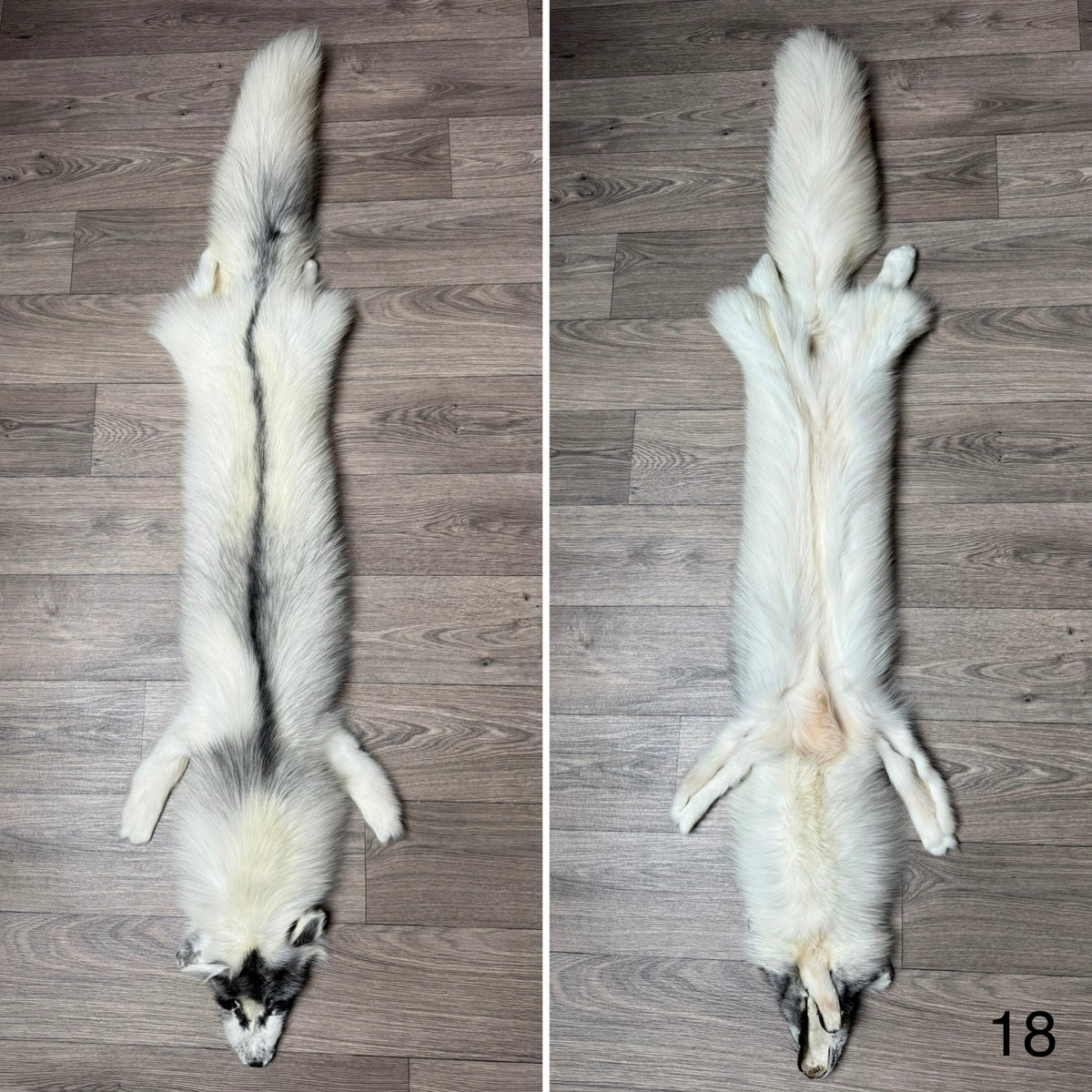 Arctic Marble fox pelt (18)
