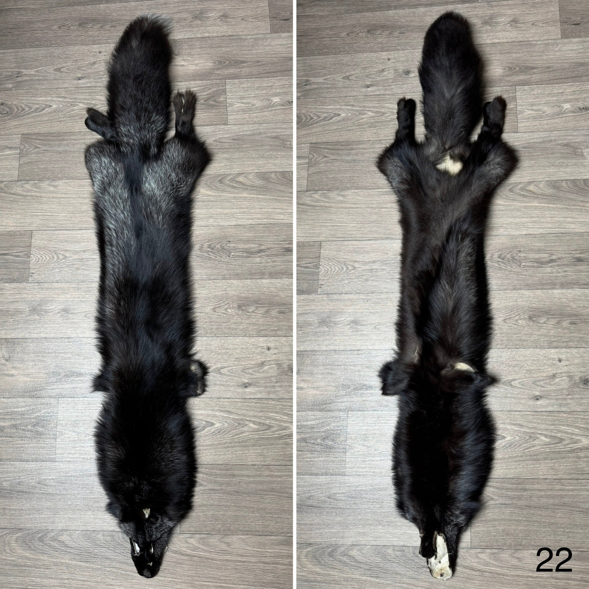Silver fox pelt (22)