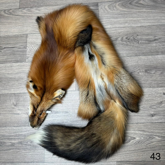 Gold fox pelt (43)
