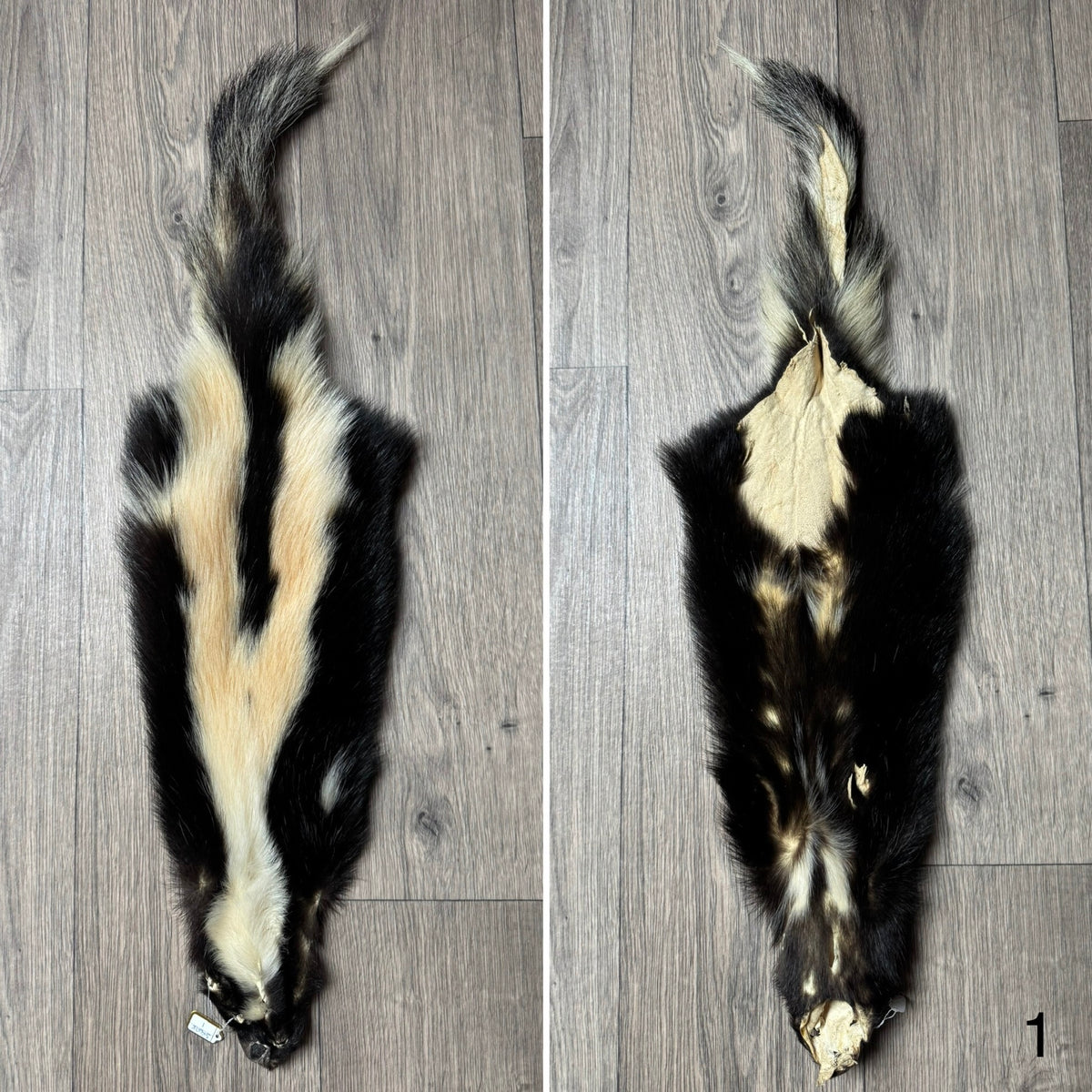 Skunk pelt (1)