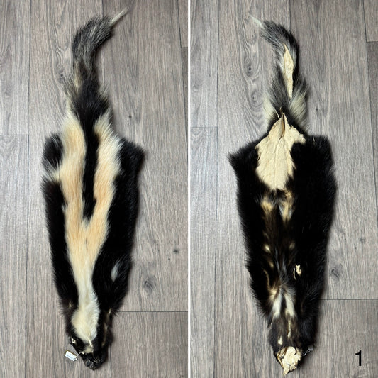 Skunk pelt (1)