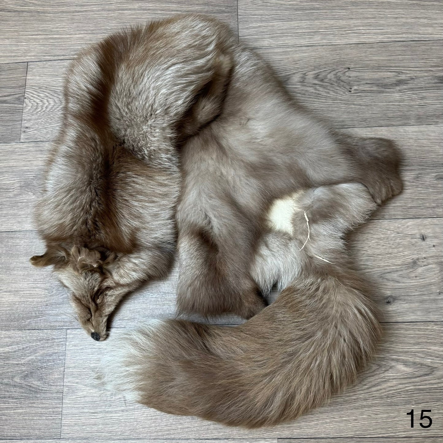 Polish Pastel fox pelt (15)