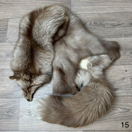 Polish Pastel fox pelt (15)