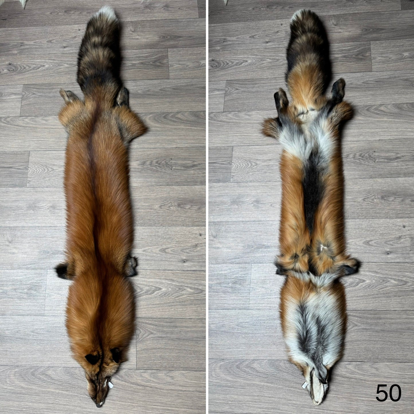 Gold fox pelt (50)