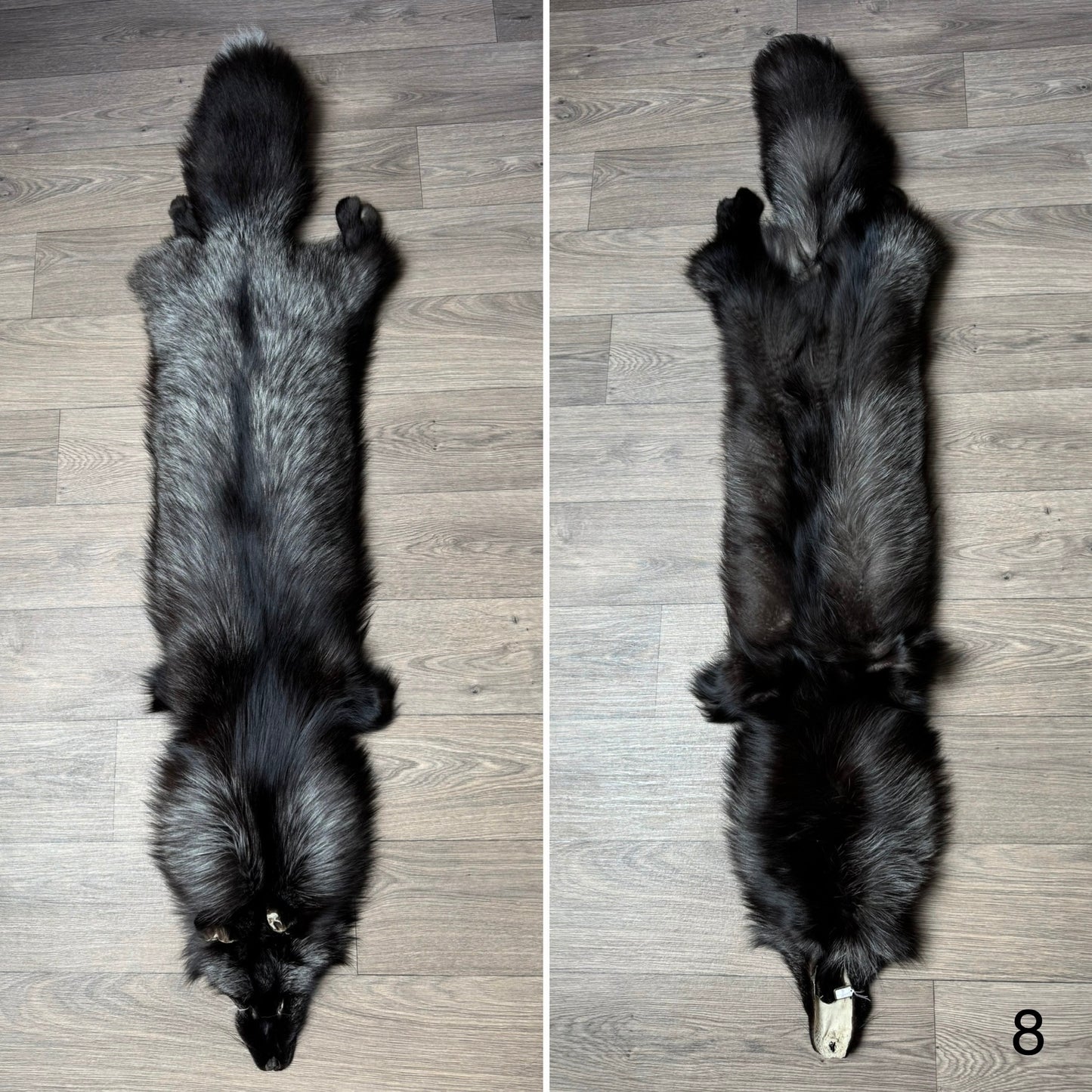 Silver fox pelt (8)