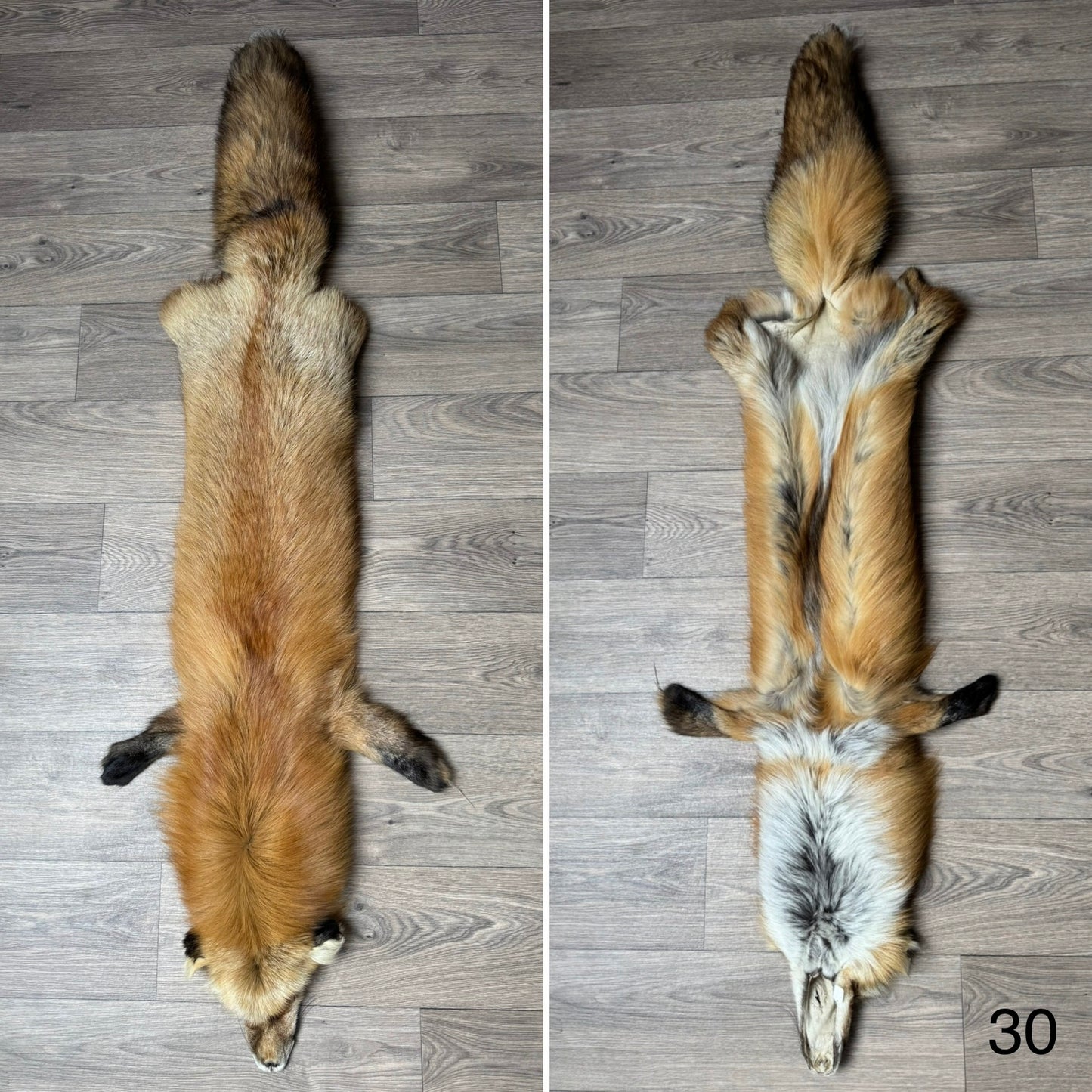 Gold fox pelt (30)
