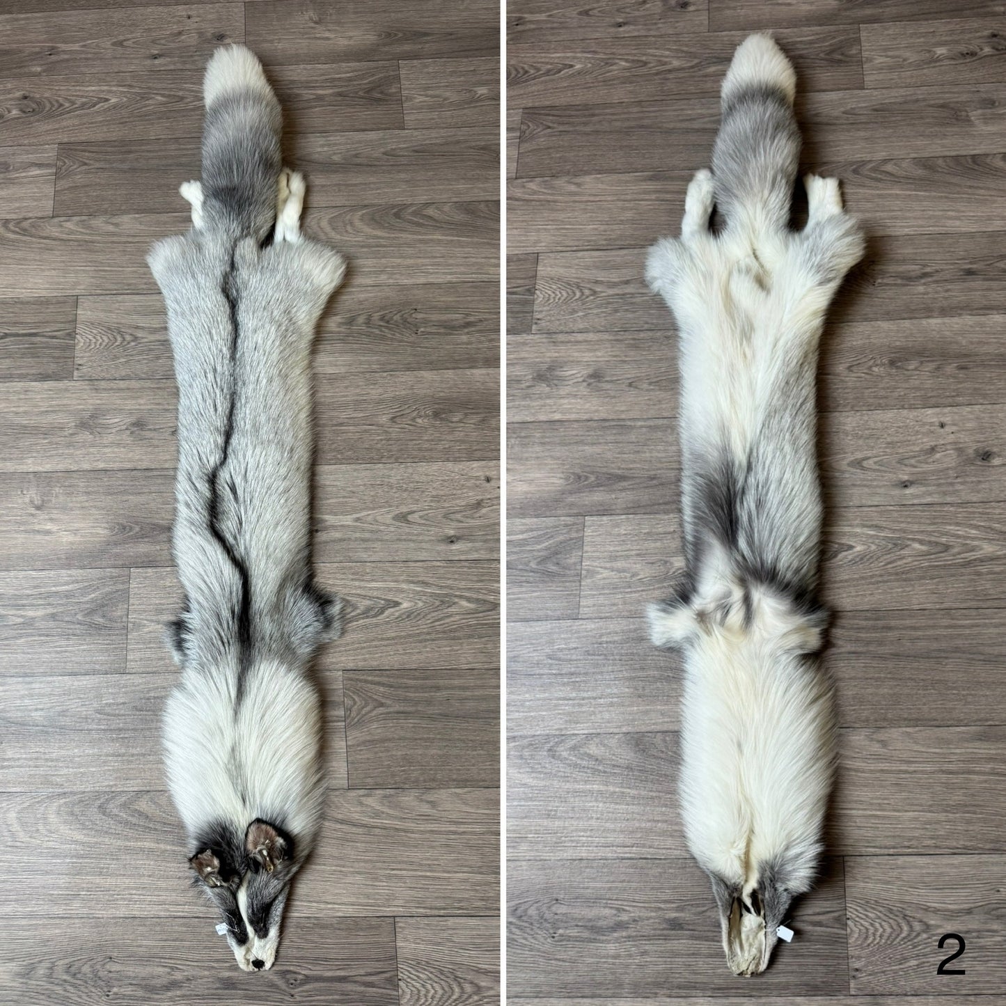 Platinum fox pelt (2)