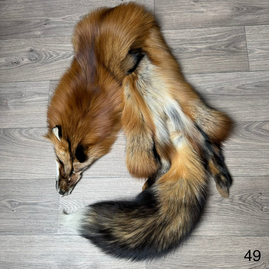 Gold fox pelt (49)