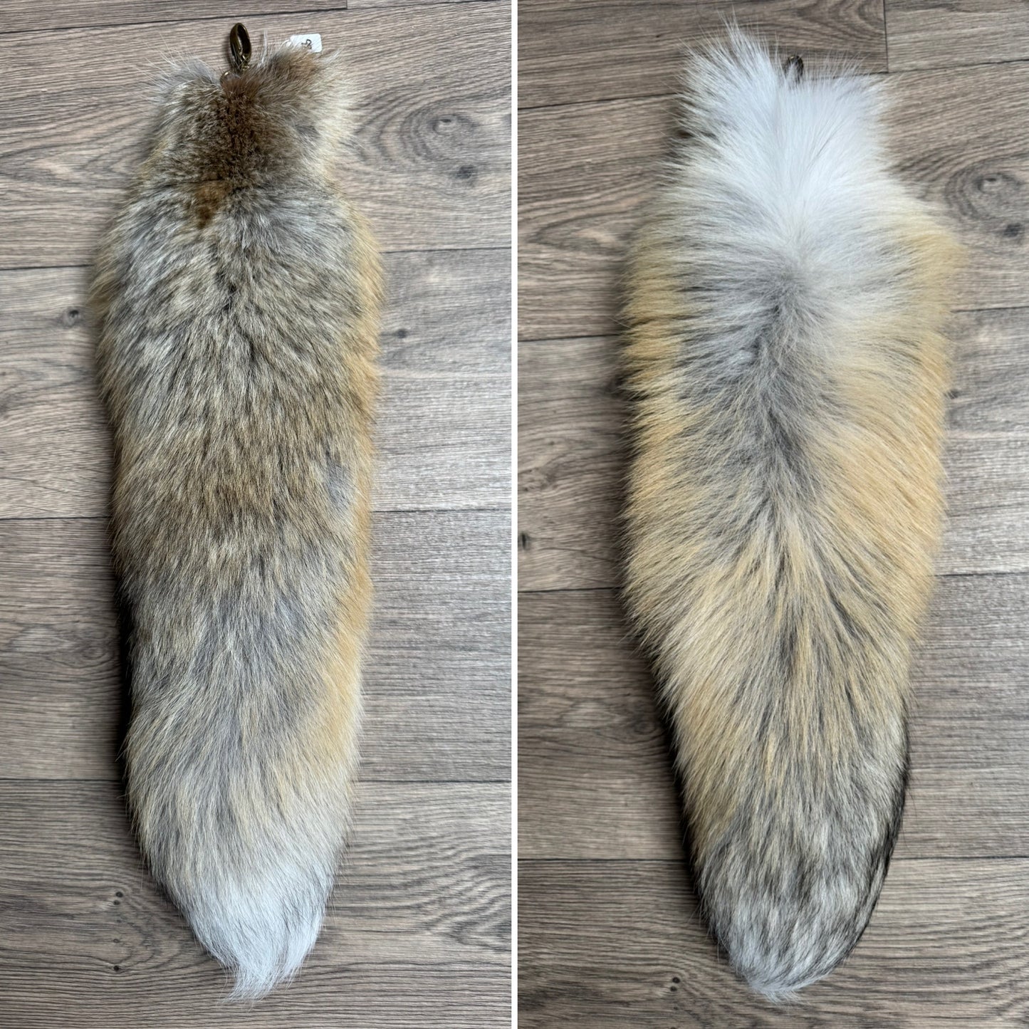 Golden Island fox tail keychain (36)