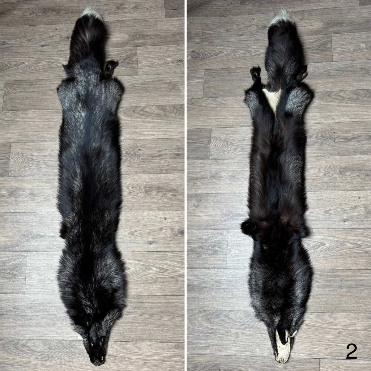 Silver fox pelt (2)