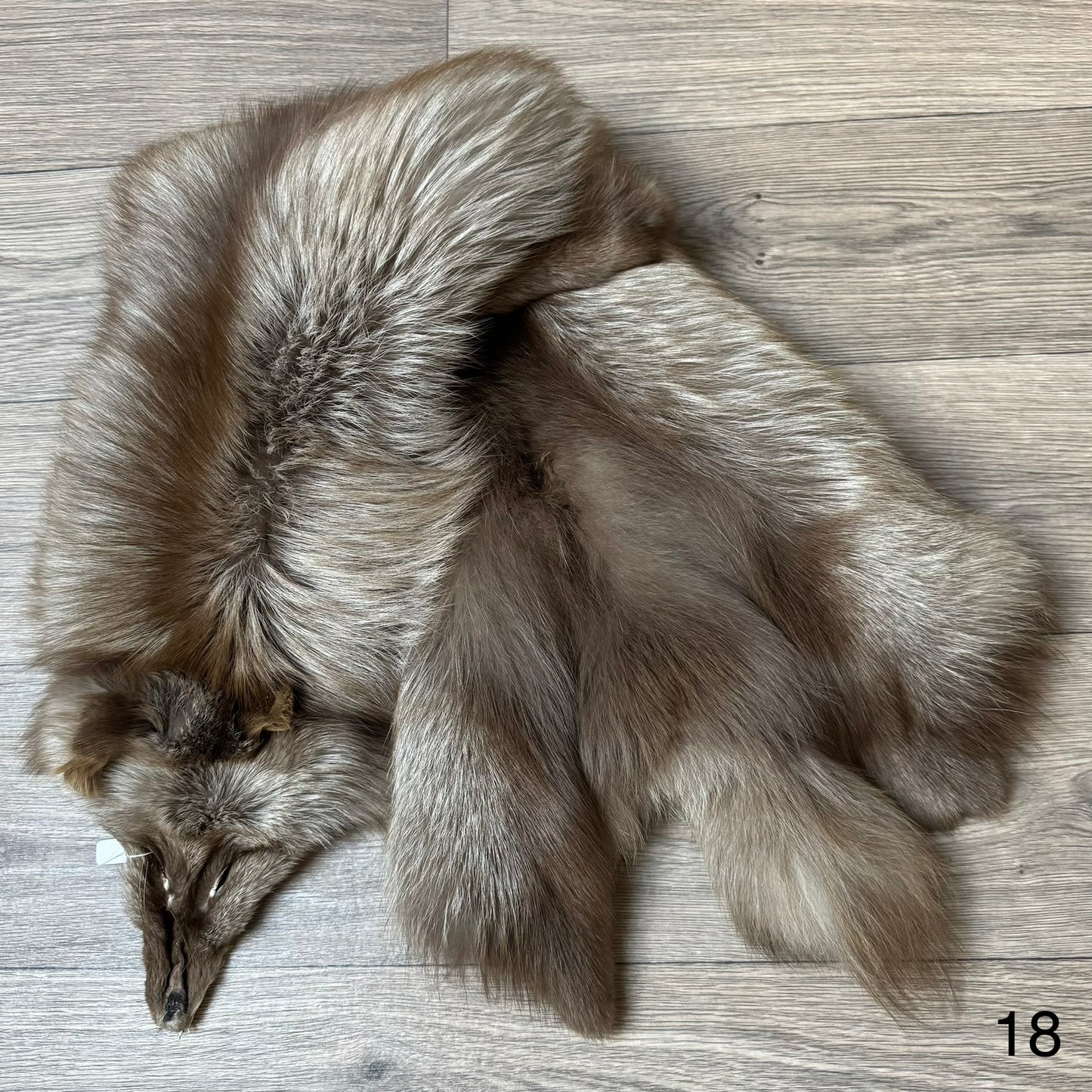 Polish Pastel fox pelt (18)