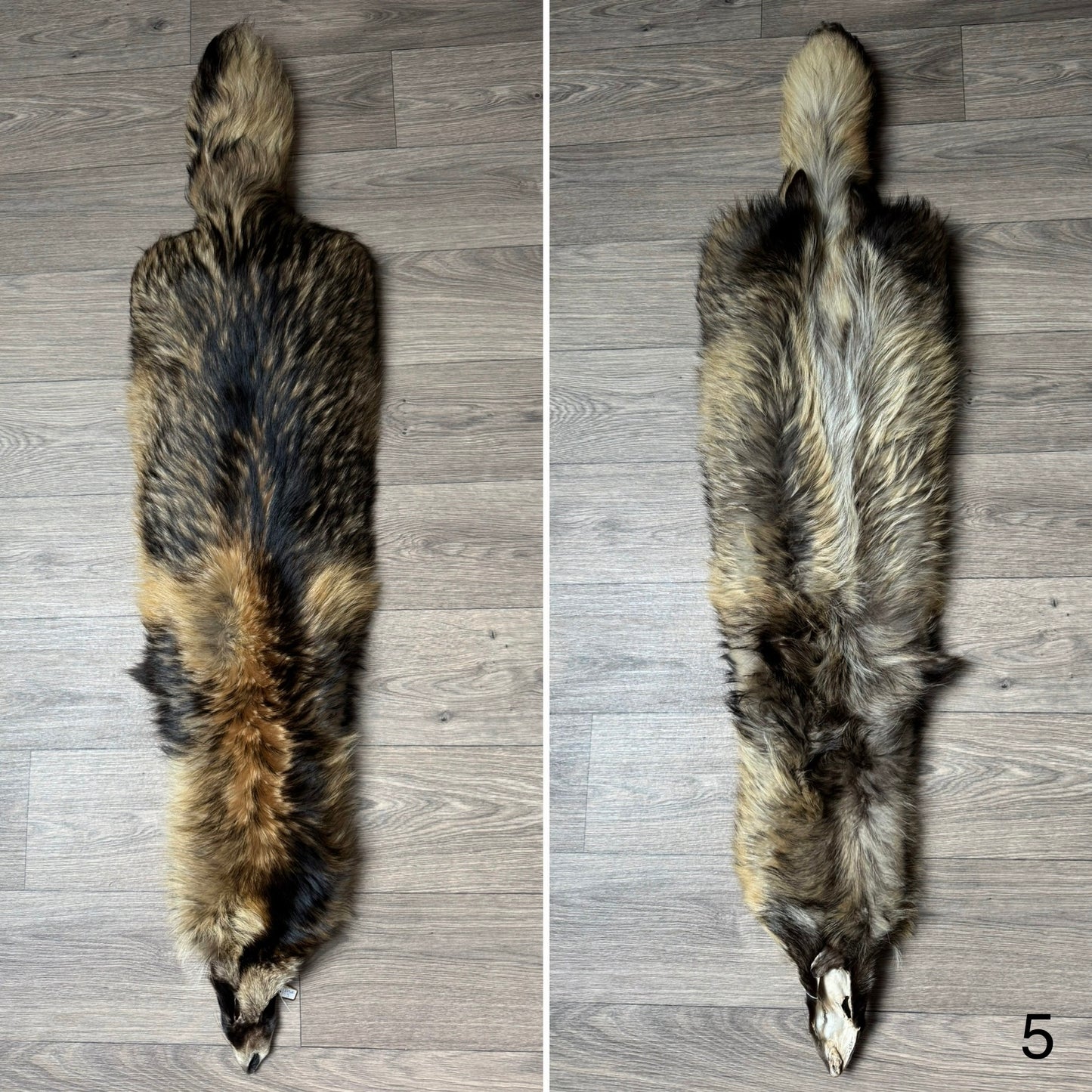 Tanuki pelt (5)