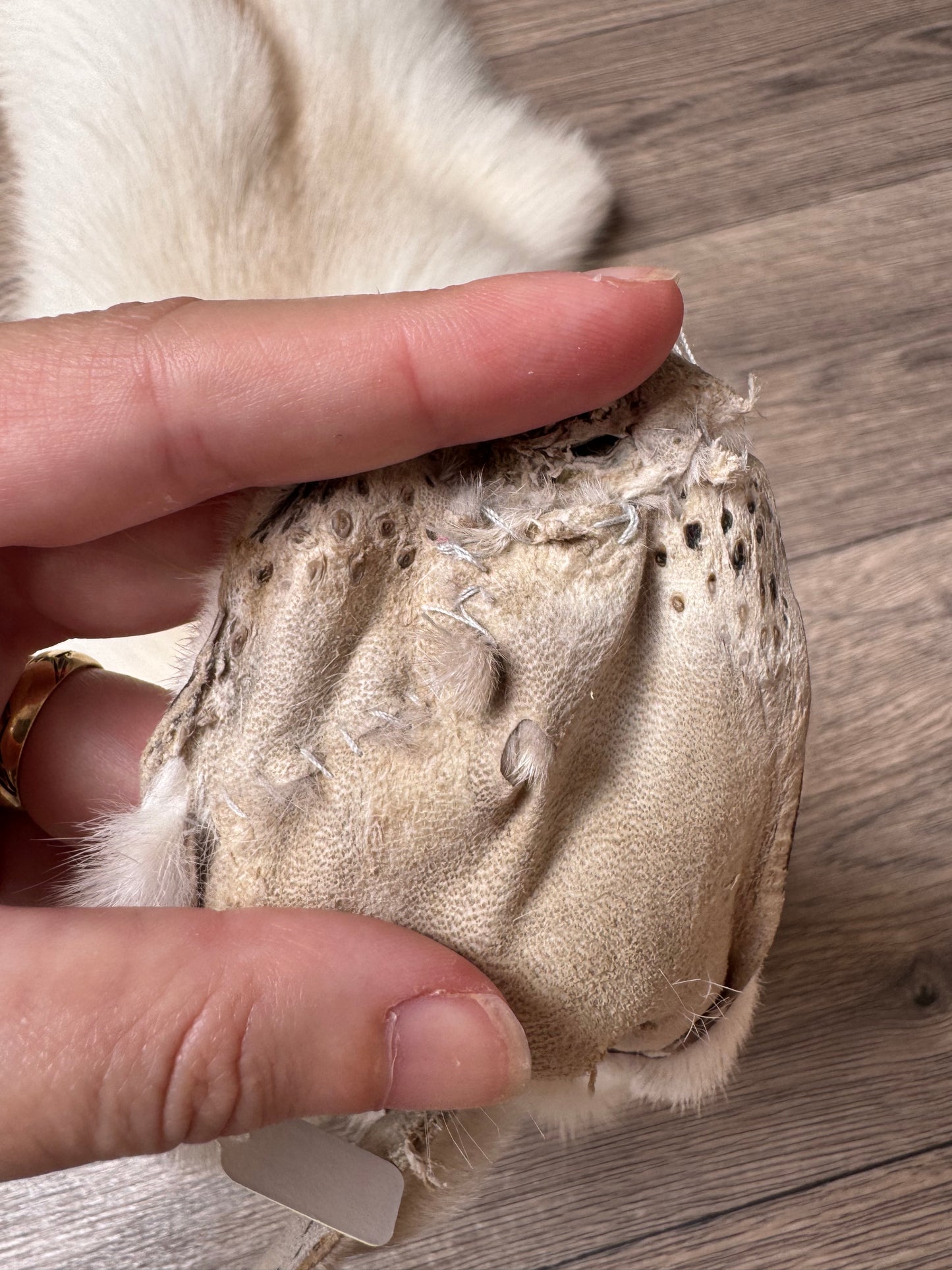Fawn Light fox pelt (7)