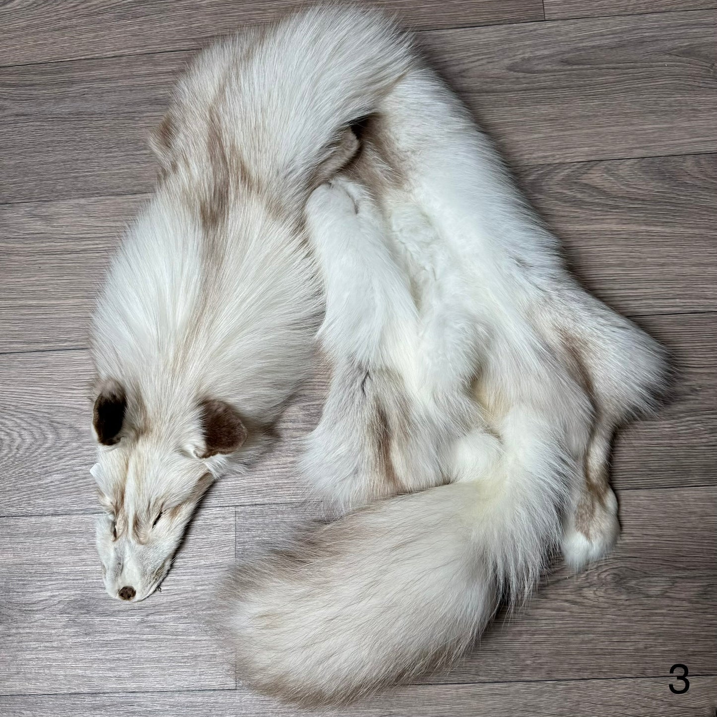 Smokey Snow Glow Whitemark fox pelt (3)