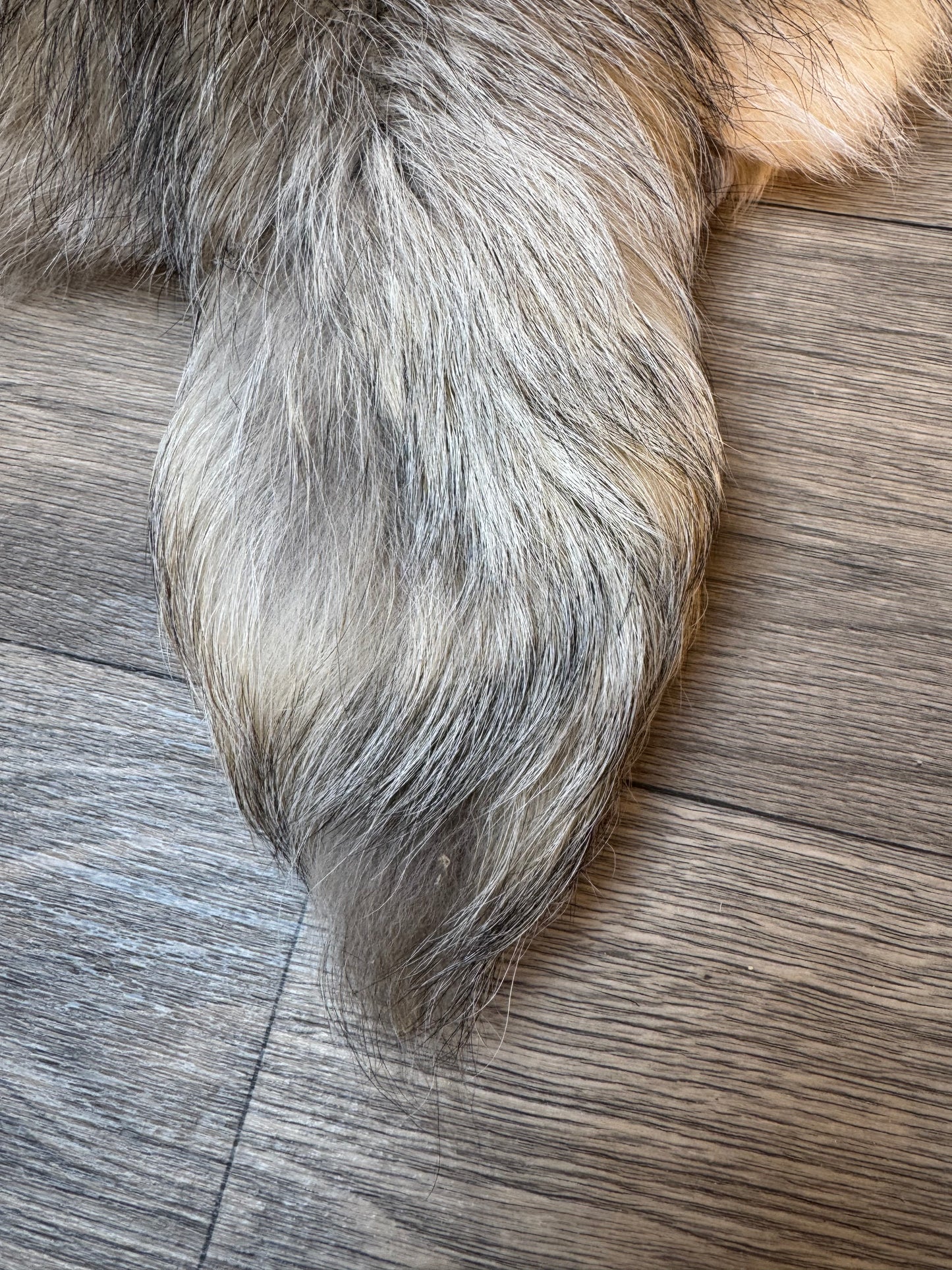 Marble tanuki pelt (17)