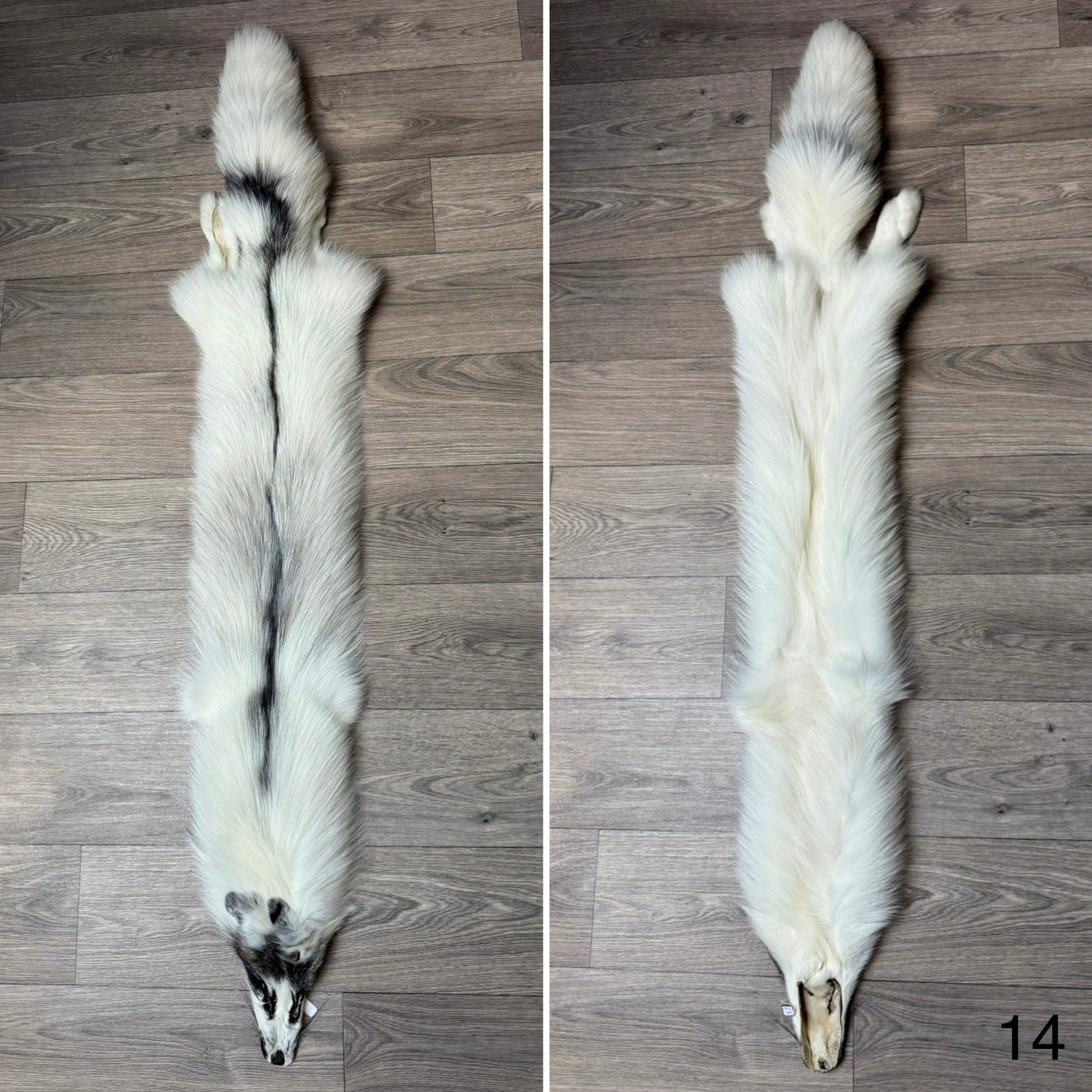 Cross Marble fox pelt (14)