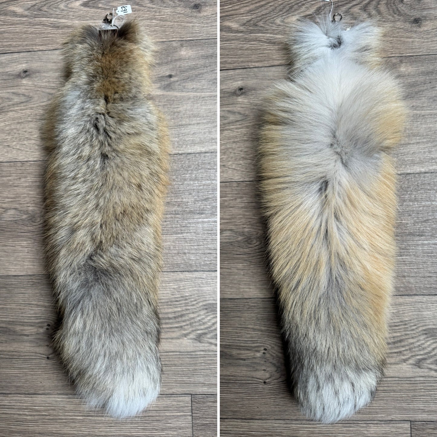 Golden Island fox tail keychain (167)