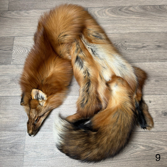 Gold fox pelt (9)