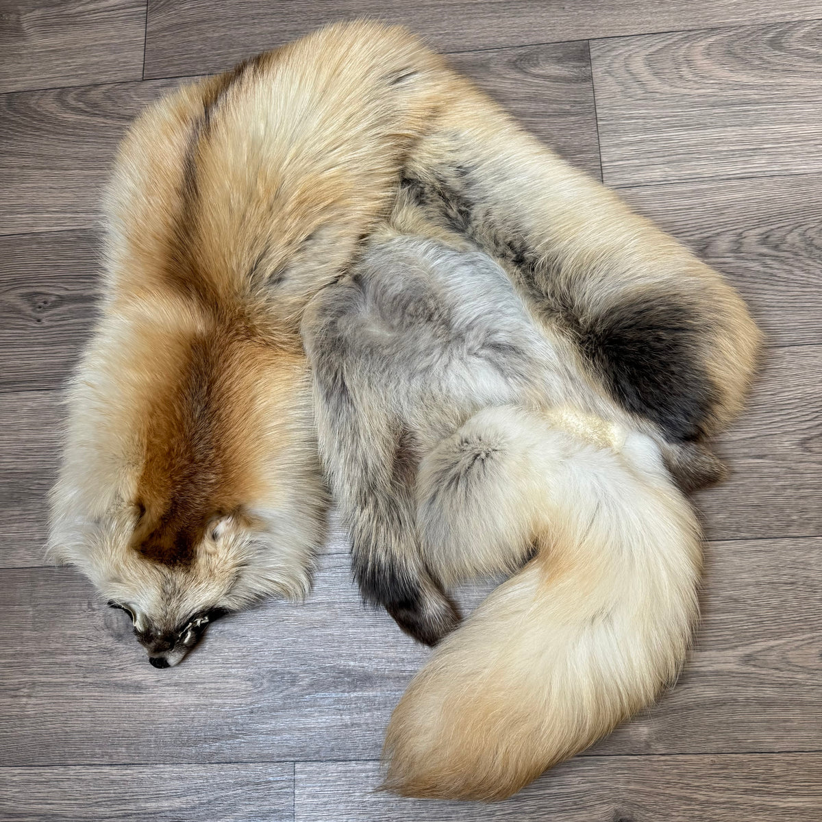 Tanuki private listing