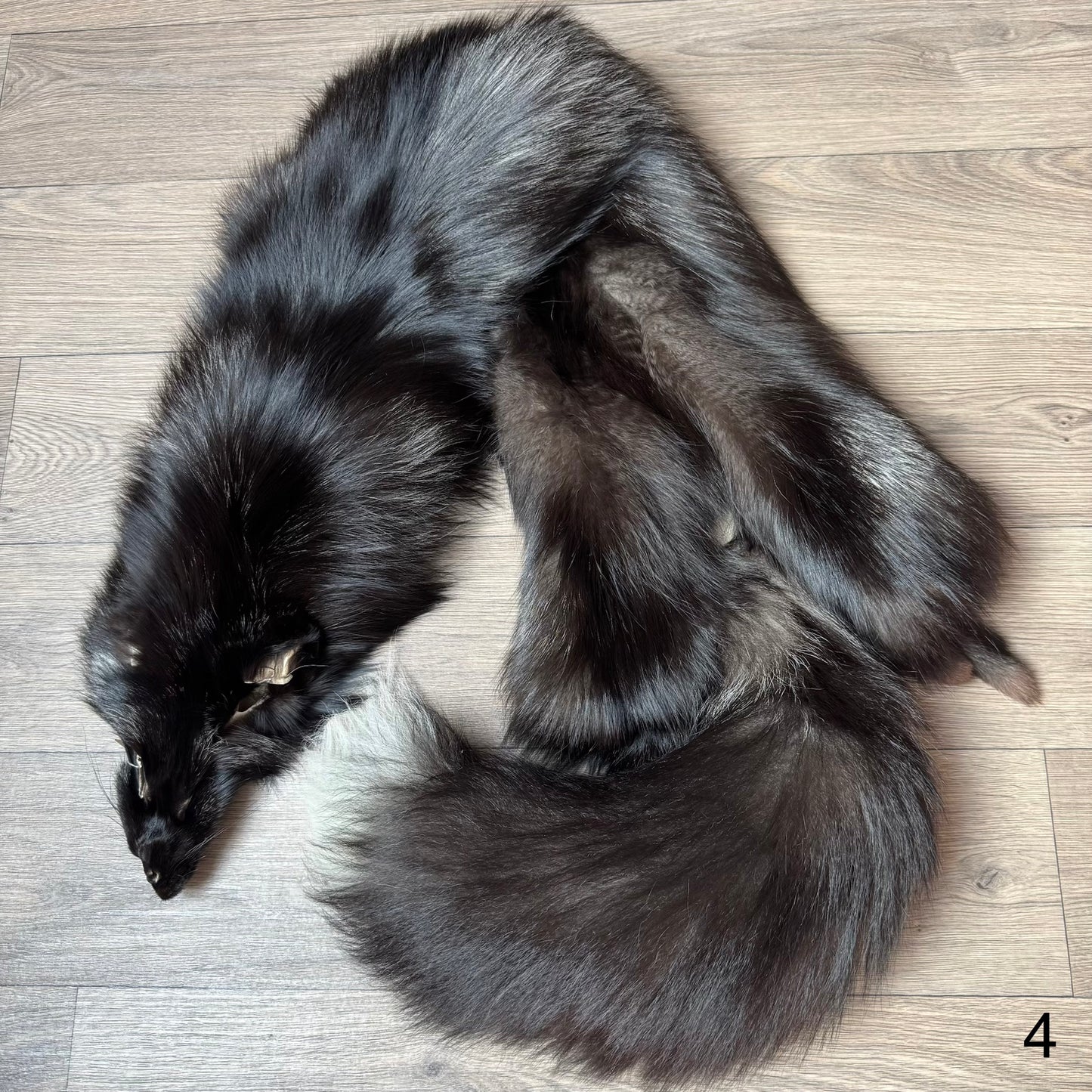 Silver fox pelt (4)