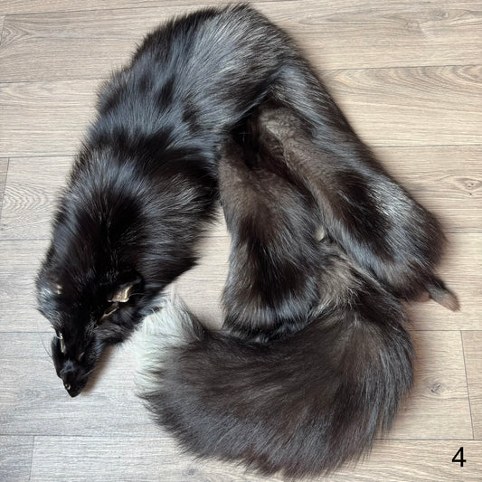 Silver fox pelt (4)