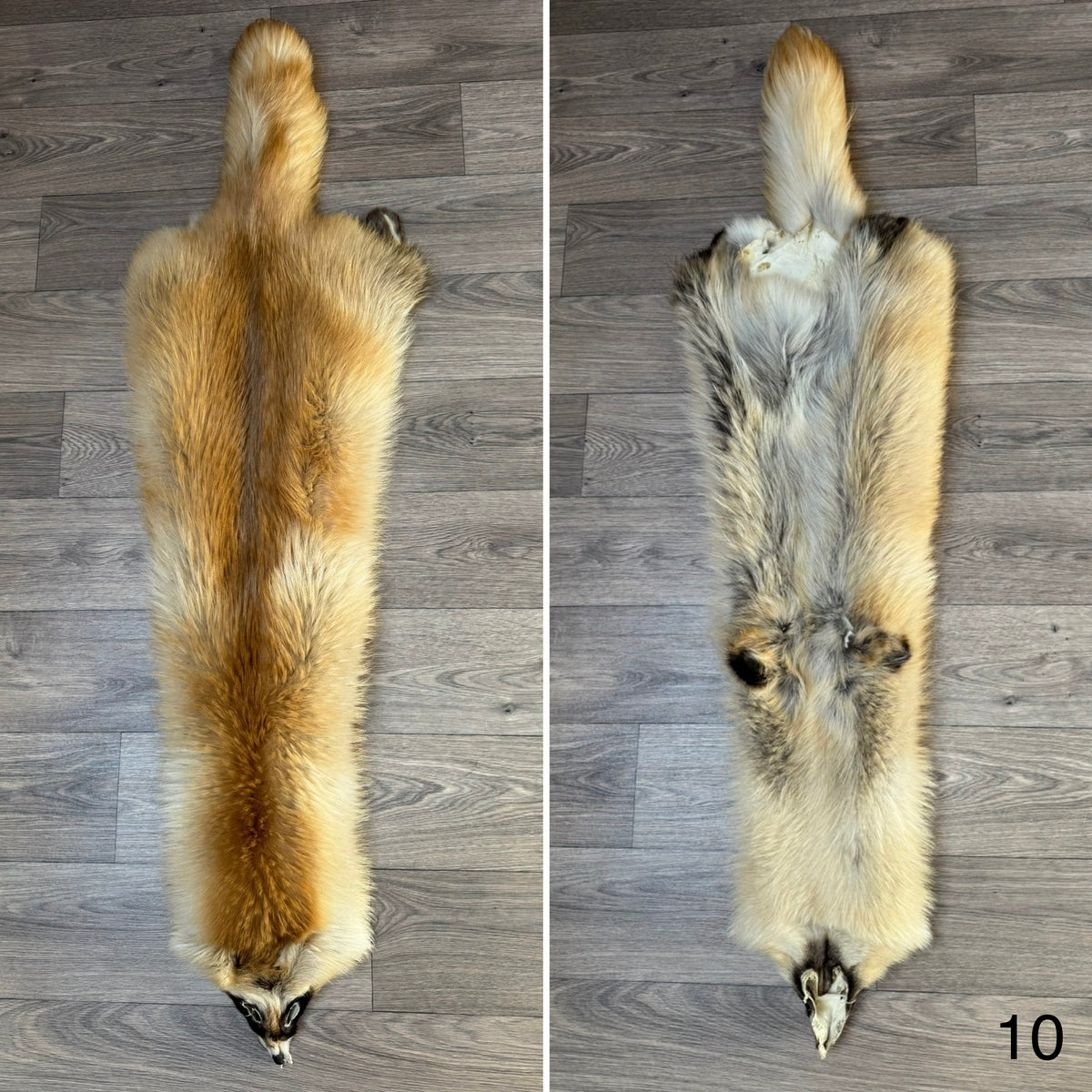 Arctic tanuki pelt (10)