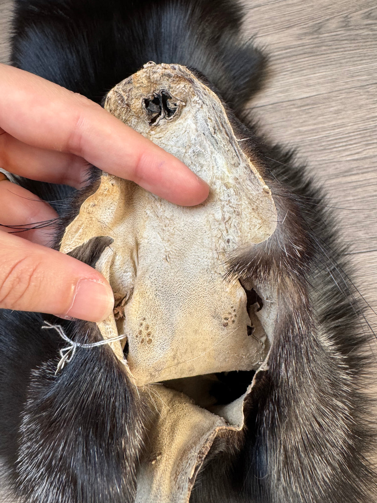 Silver fox pelt (26)