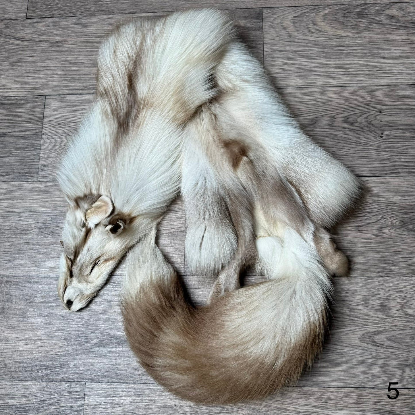 Smokey Snow Glow fox pelt (5)
