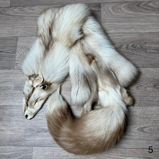 Smokey Snow Glow fox pelt (5)