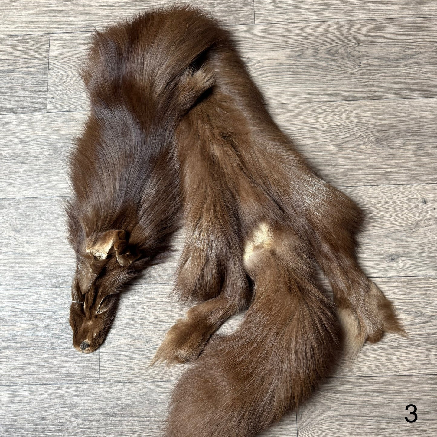 Burgundy fox pelt (3)