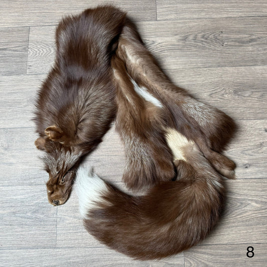 Burgundy fox pelt (8)