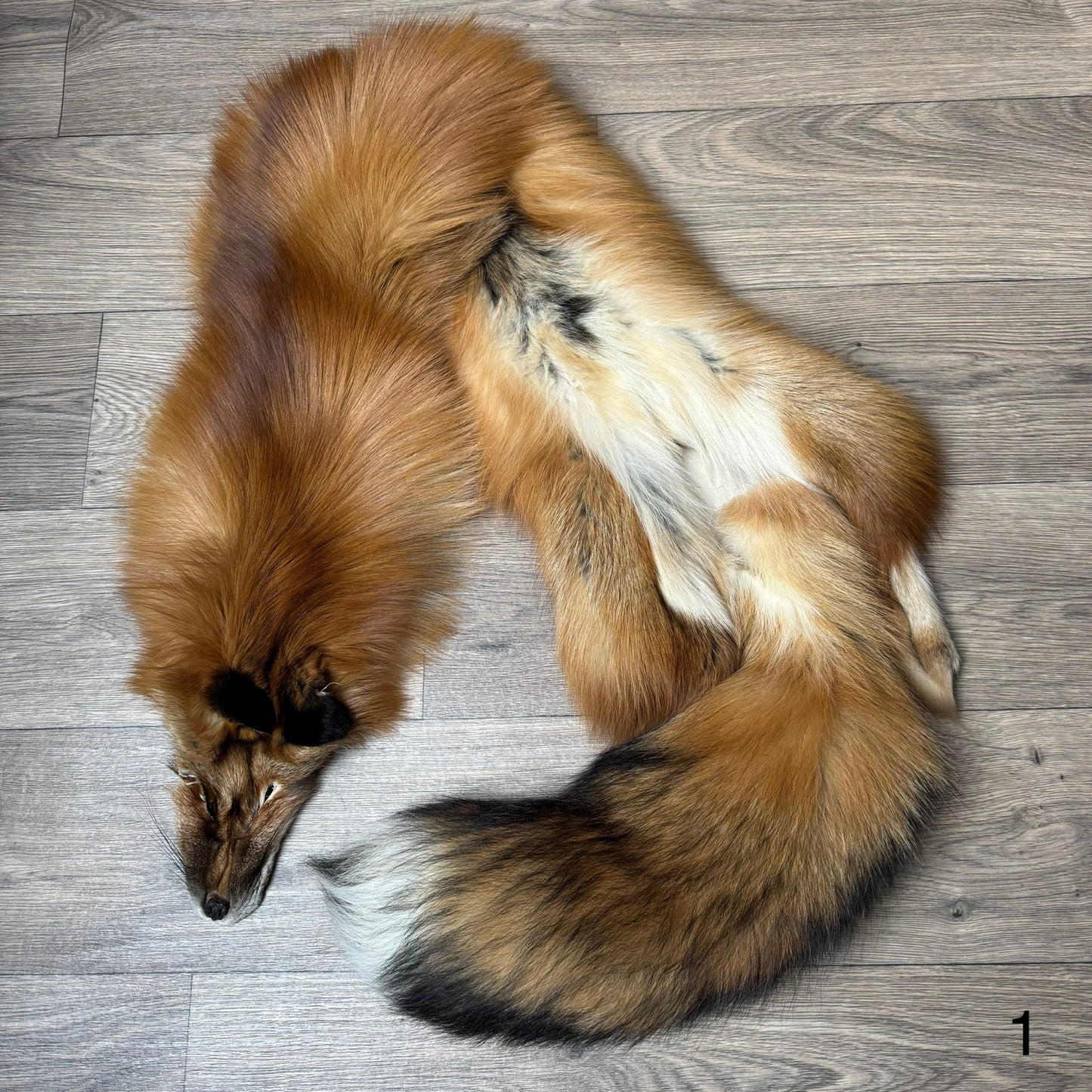 Gold fox pelt (1)
