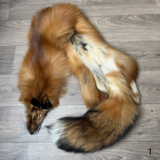 Gold fox pelt (1)