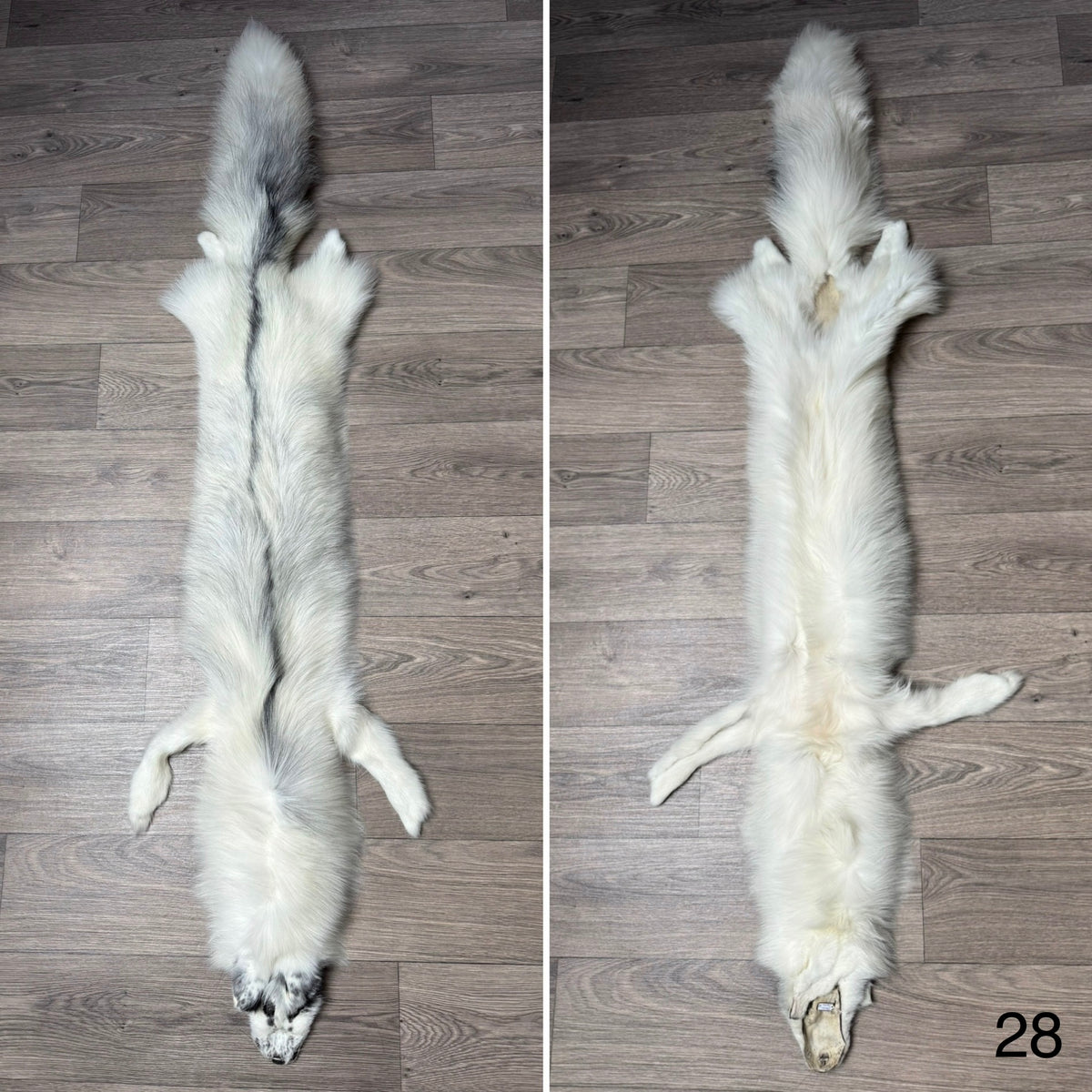 Arctic Marble fox pelt (28)
