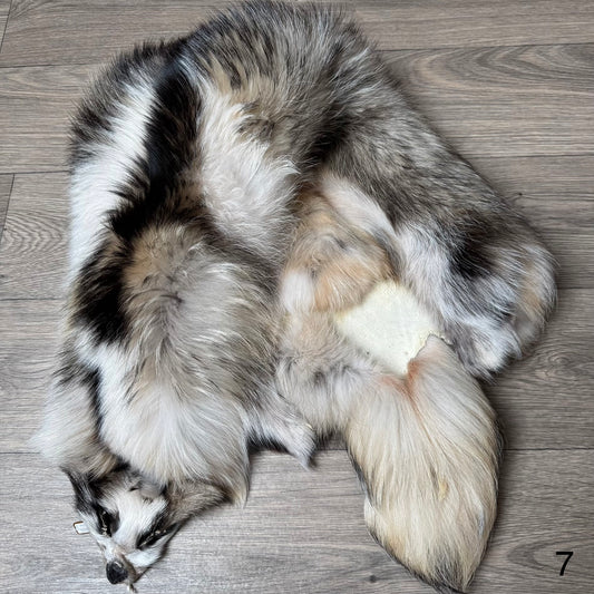 Marble tanuki pelt (7)