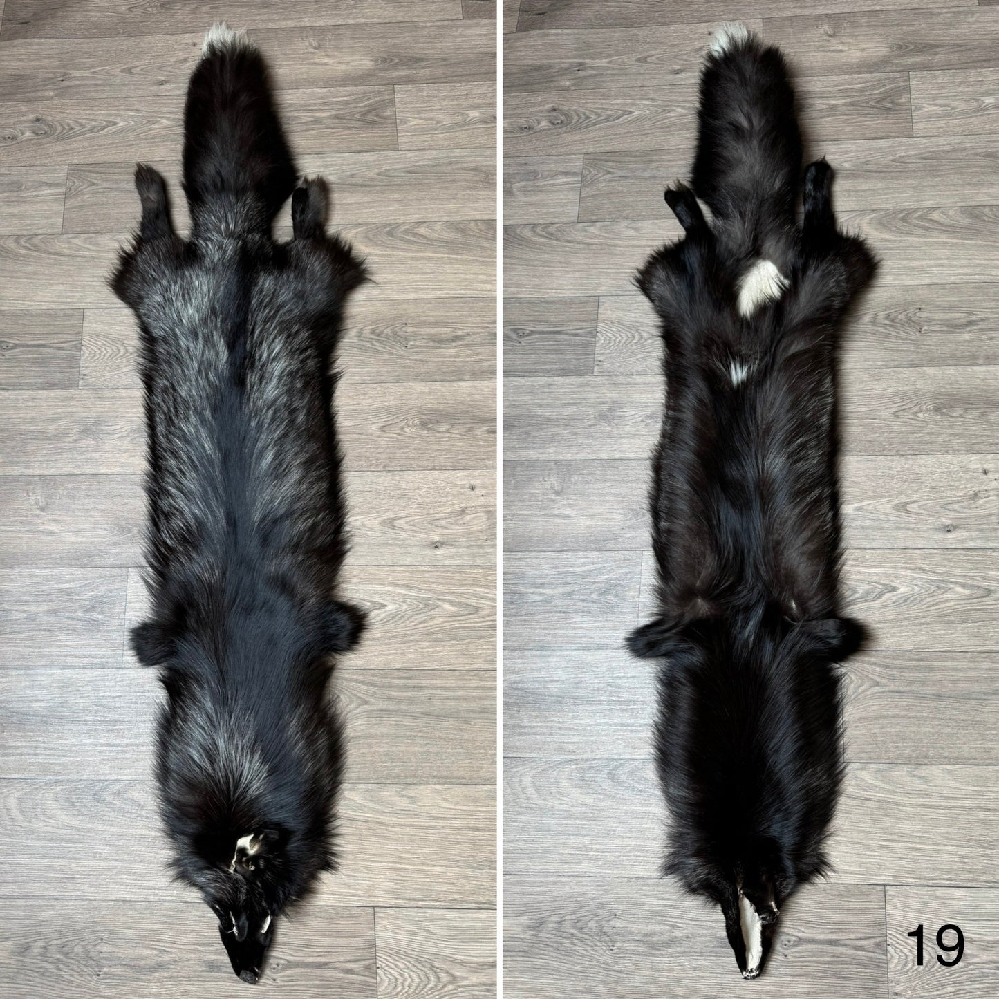 Silver fox pelt (19)